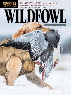 cover image of Wildfowl